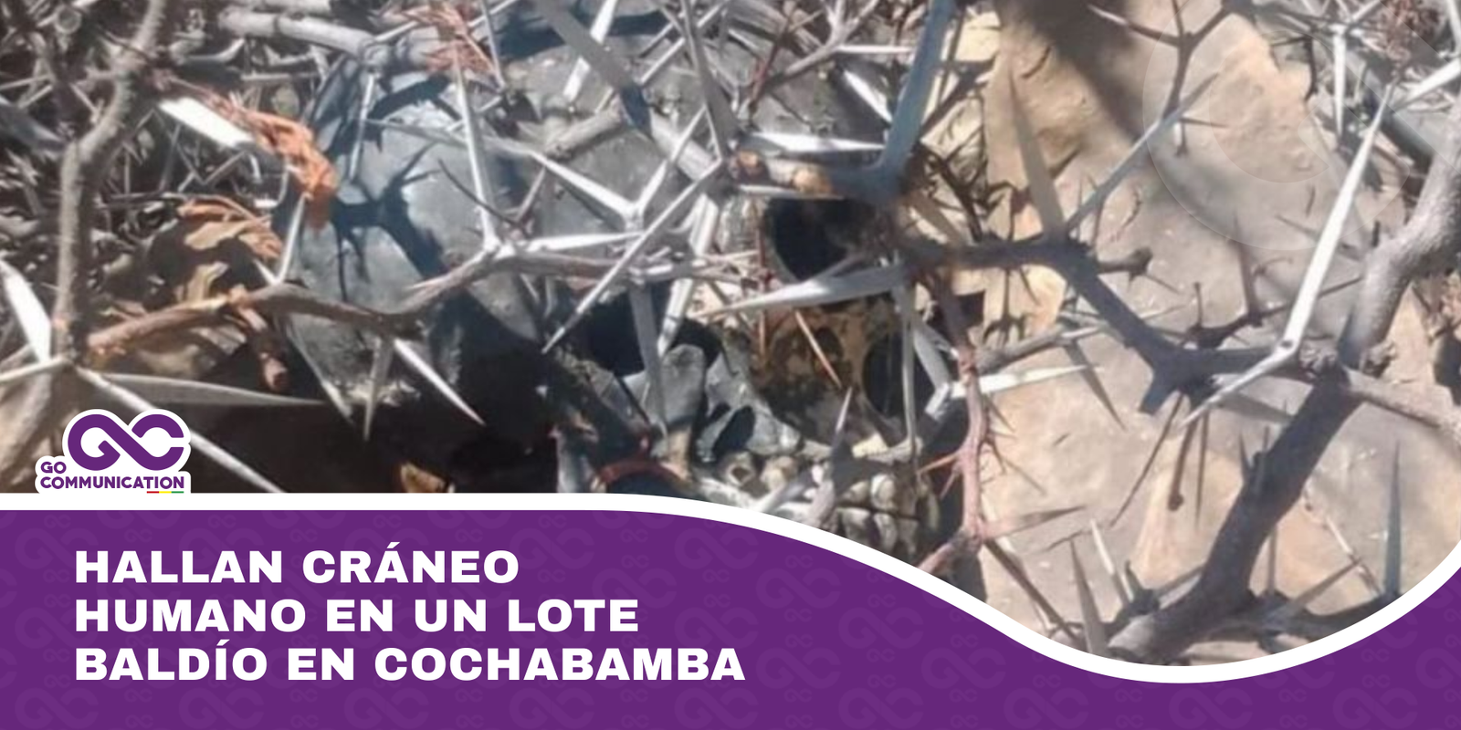 Hallan cráneo humano en un lote baldío en Cochabamba