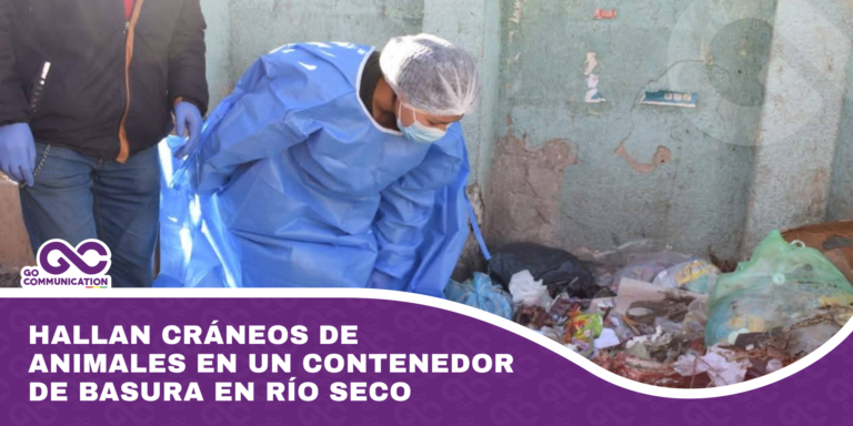Hallan cráneos de animales en un contenedor de basura en Río Seco