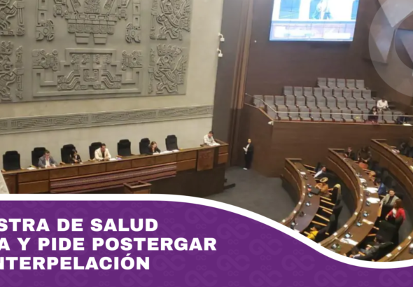 Ministra de Salud falta y pide postergar su interpelación
