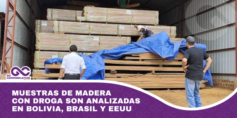Muestras de madera con droga son analizadas en Bolivia, Brasil y EEUU
