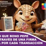 Amalia Pando denuncia millonaria contratación directa a la empresa Síntesis para el pago del bono PEPE