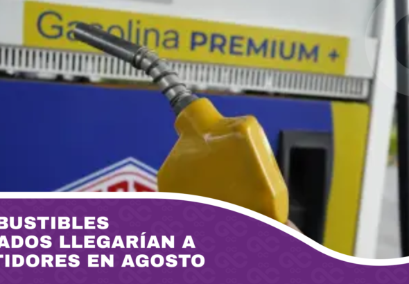 Combustibles privados llegarían a surtidores en agosto