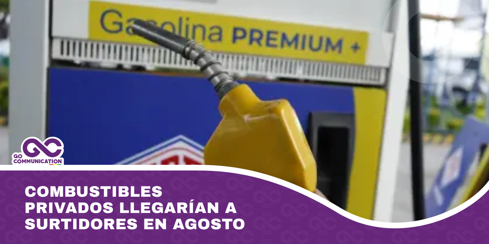 Combustibles privados llegarían a surtidores en agosto