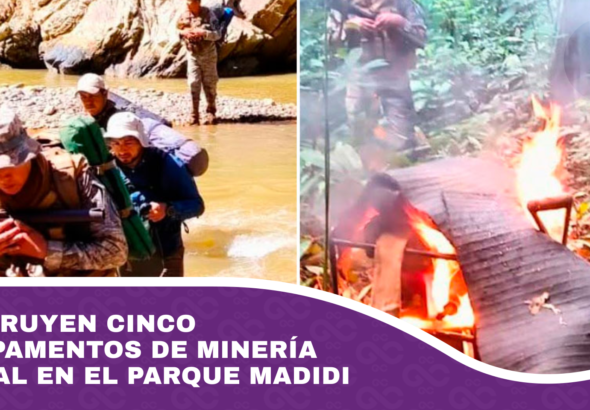 Destruyen cinco campamentos de minería ilegal en el Parque Madidi