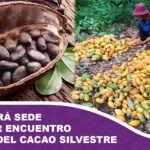 El Beni será sede del Primer Encuentro Nacional del Cacao Silvestre para impulsar su proyección internacional