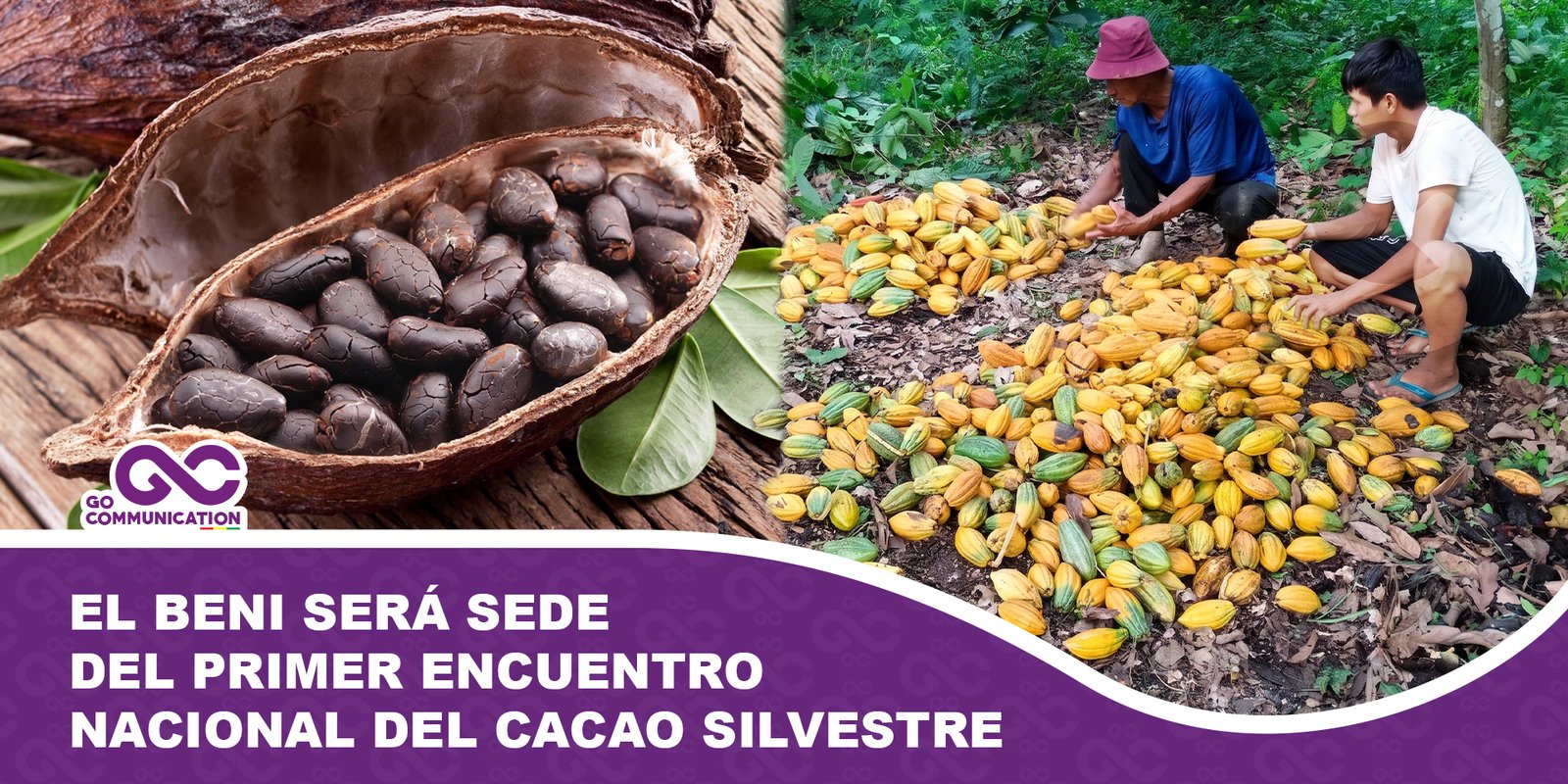 El Beni será sede del Primer Encuentro Nacional del Cacao Silvestre para impulsar su proyección internacional