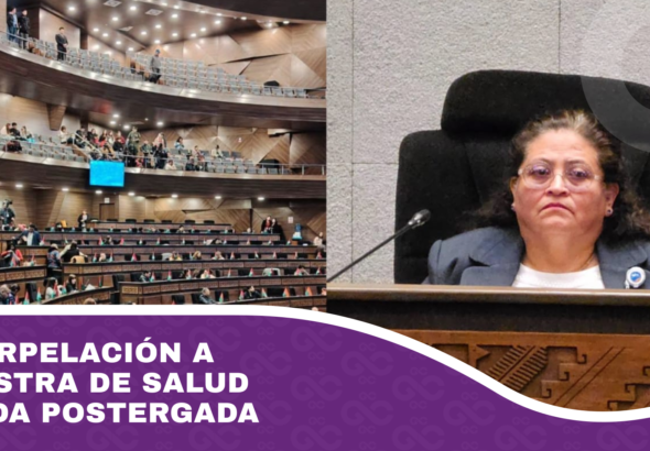 Interpelación a ministra de Salud queda postergada
