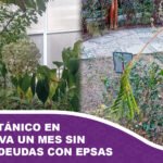 Jardín Botánico en La Paz lleva un mes sin agua por deudas con Epsas