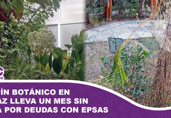 Jardín Botánico en La Paz lleva un mes sin agua por deudas con Epsas
