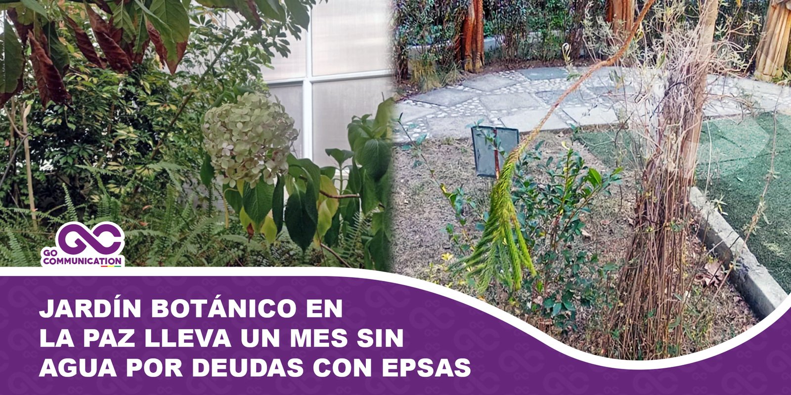 Jardín Botánico en La Paz lleva un mes sin agua por deudas con Epsas