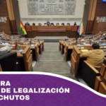 Libre retira proyecto de legalización de autos chutos