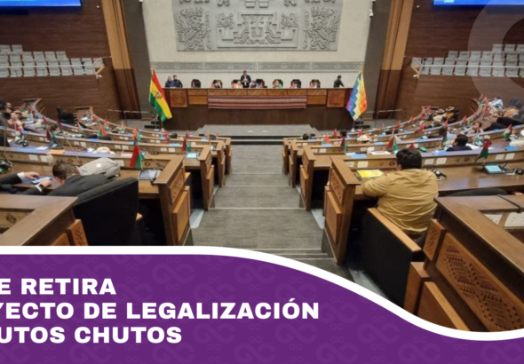 Libre retira proyecto de legalización de autos chutos