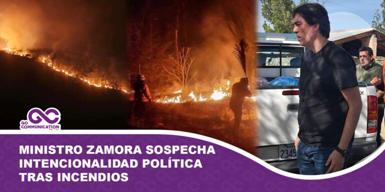 Ministro Zamora sospecha intencionalidad política tras incendios