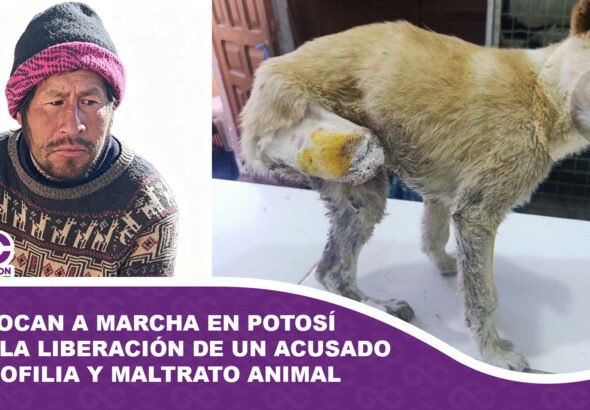 Animalistas y vecinos convocan a marcha en Potosí tras la liberación de un acusado de zoofilia y maltrato animal