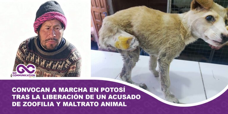 Animalistas y vecinos convocan a marcha en Potosí tras la liberación de un acusado de zoofilia y maltrato animal