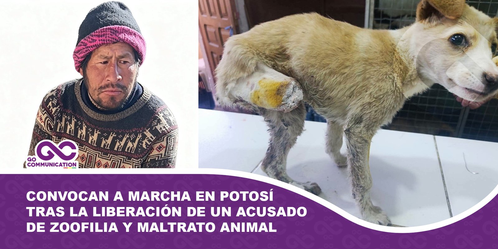 Animalistas y vecinos convocan a marcha en Potosí tras la liberación de un acusado de zoofilia y maltrato animal