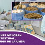 Chuño y tunta mejoran la salud intestinal, según estudio de la UMSA