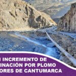 Denuncian alarmante incremento de la contaminación por plomo en pobladores de Cantumarca