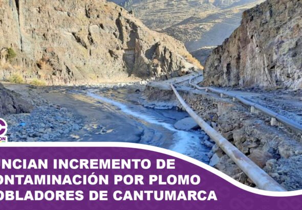 Denuncian alarmante incremento de la contaminación por plomo en pobladores de Cantumarca