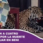 IMG_20260811_171120_794