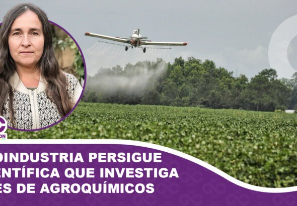 Agroindustria persigue a científica que investiga males de agroquímicos