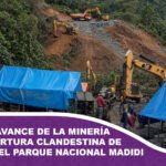 Denuncian avance de la minería ilegal y apertura clandestina de caminos en el Parque Nacional Madidi
