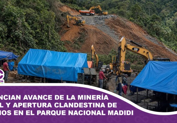 Denuncian avance de la minería ilegal y apertura clandestina de caminos en el Parque Nacional Madidi