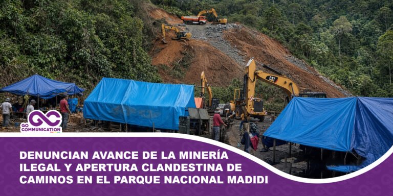 Denuncian avance de la minería ilegal y apertura clandestina de caminos en el Parque Nacional Madidi
