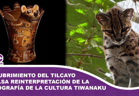 Descubrimiento del tilcayo impulsa reinterpretación de la iconografía de la cultura Tiwanaku