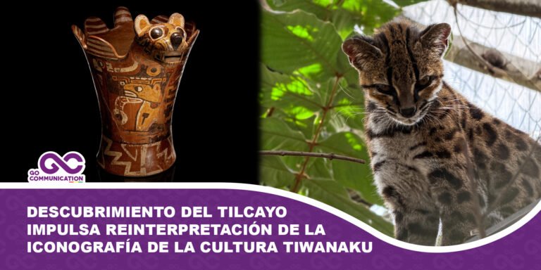 Descubrimiento del tilcayo impulsa reinterpretación de la iconografía de la cultura Tiwanaku