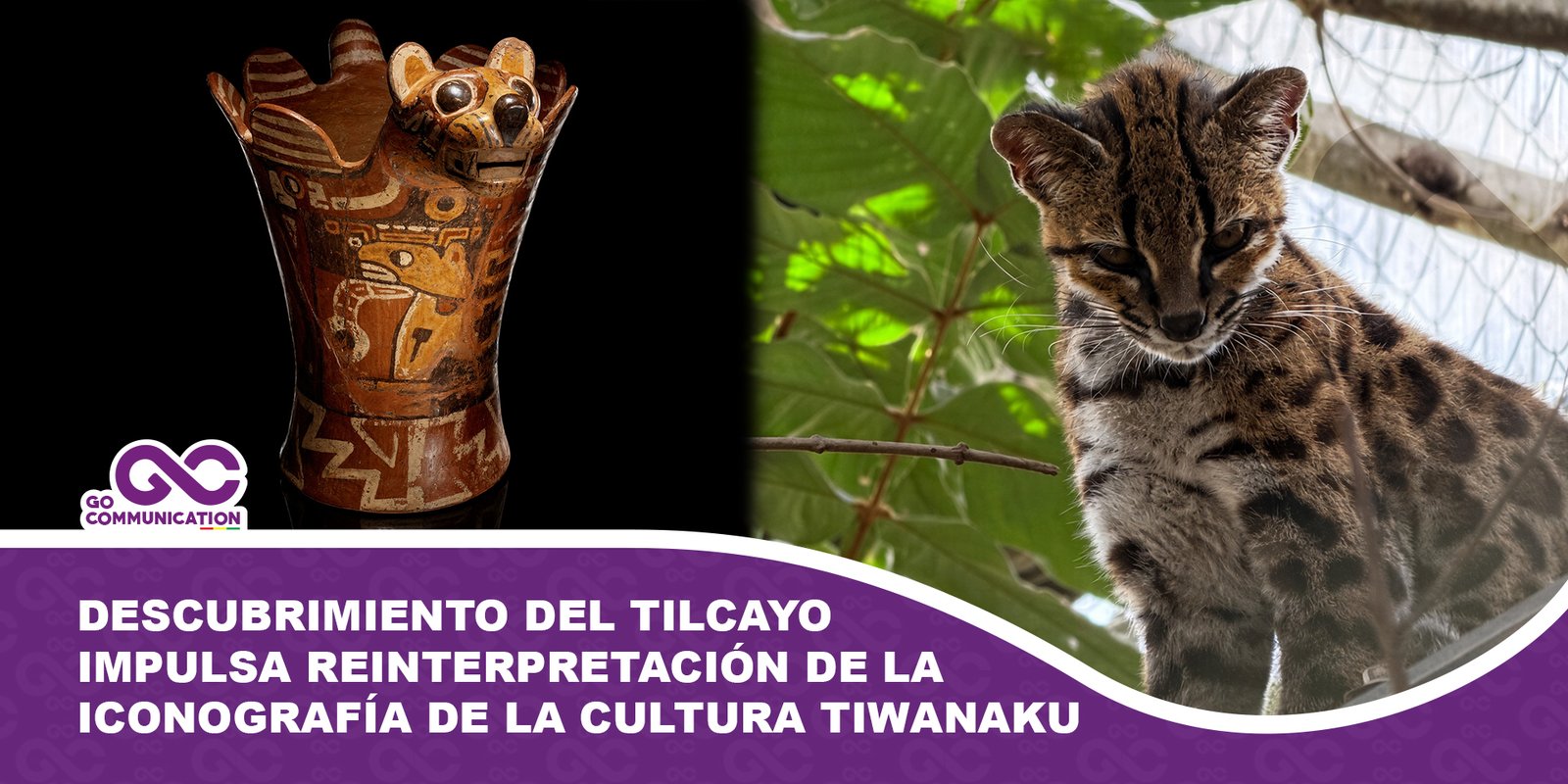 Descubrimiento del tilcayo impulsa reinterpretación de la iconografía de la cultura Tiwanaku
