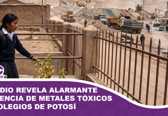 Estudio revela alarmante presencia de metales tóxicos en colegios de Potosí