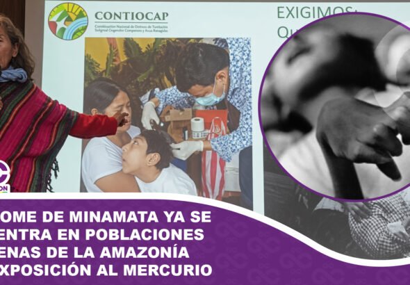 Síndrome de Minamata ya se encuentra en poblaciones indígenas de la Amazonía por exposición al mercurio