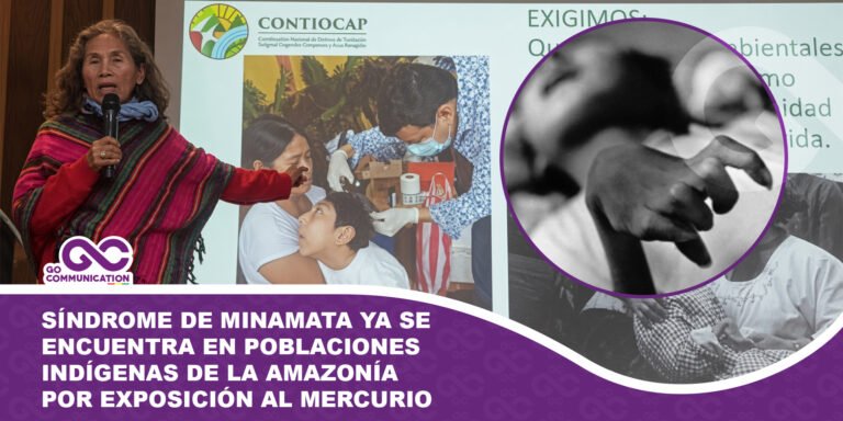 Síndrome de Minamata ya se encuentra en poblaciones indígenas de la Amazonía por exposición al mercurio