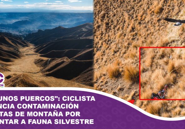 Son unos puercos Ciclista denuncia contaminación en rutas de montaña por alimentar a fauna silvestre