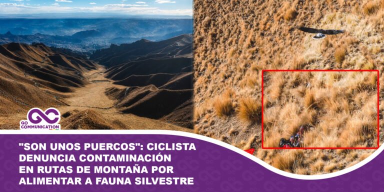 Son unos puercos Ciclista denuncia contaminación en rutas de montaña por alimentar a fauna silvestre
