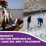 Advierten inminente contaminación con mercurio en los ríos San Juan del Oro y Pilcomayo