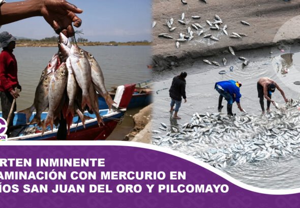 Advierten inminente contaminación con mercurio en los ríos San Juan del Oro y Pilcomayo