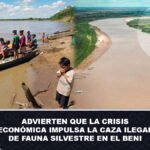 Advierten que la crisis económica impulsa la caza ilegal de fauna silvestre en el Beni