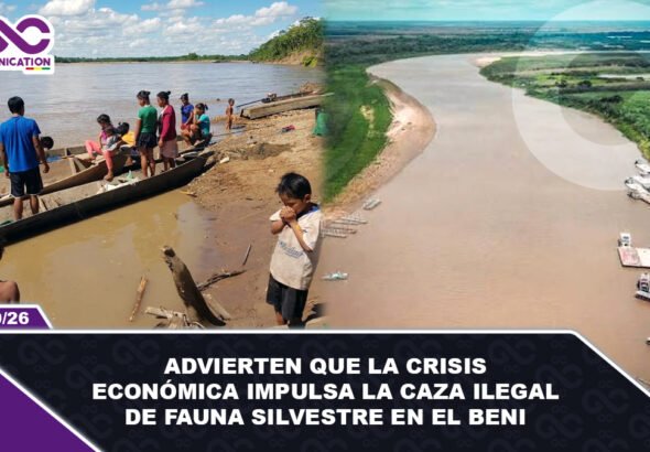 Advierten que la crisis económica impulsa la caza ilegal de fauna silvestre en el Beni