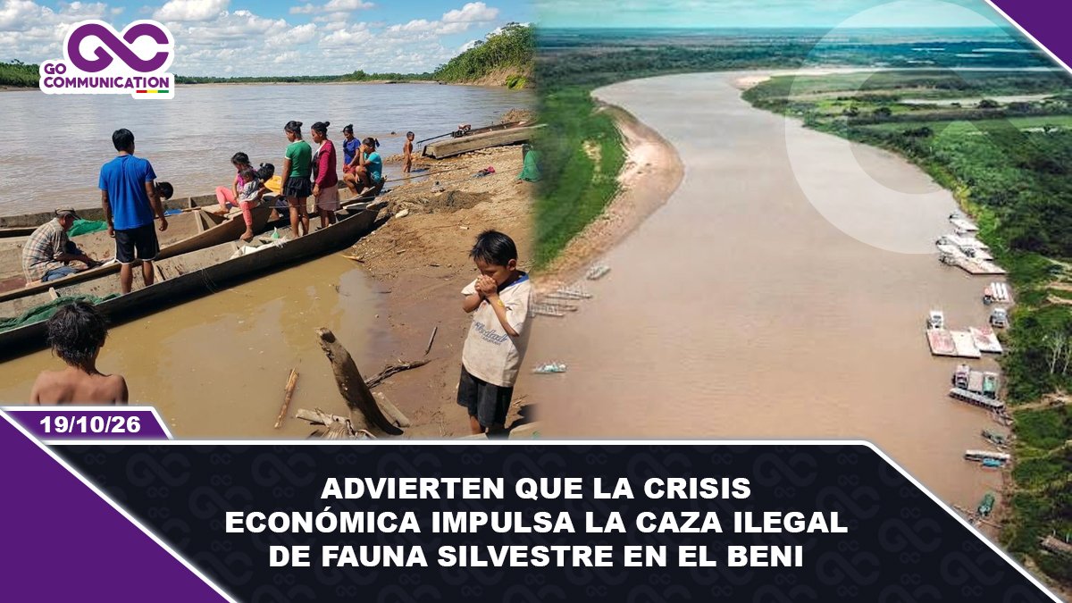 Advierten que la crisis económica impulsa la caza ilegal de fauna silvestre en el Beni