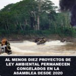 Al menos diez proyectos de ley ambiental permanecen congelados en la Asamblea desde 2020