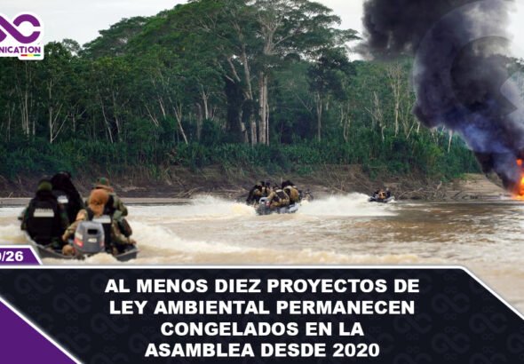 Al menos diez proyectos de ley ambiental permanecen congelados en la Asamblea desde 2020