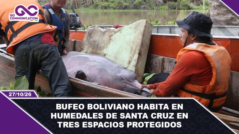 Bufeo boliviano habita en humedales de Santa Cruz en tres espacios protegidos