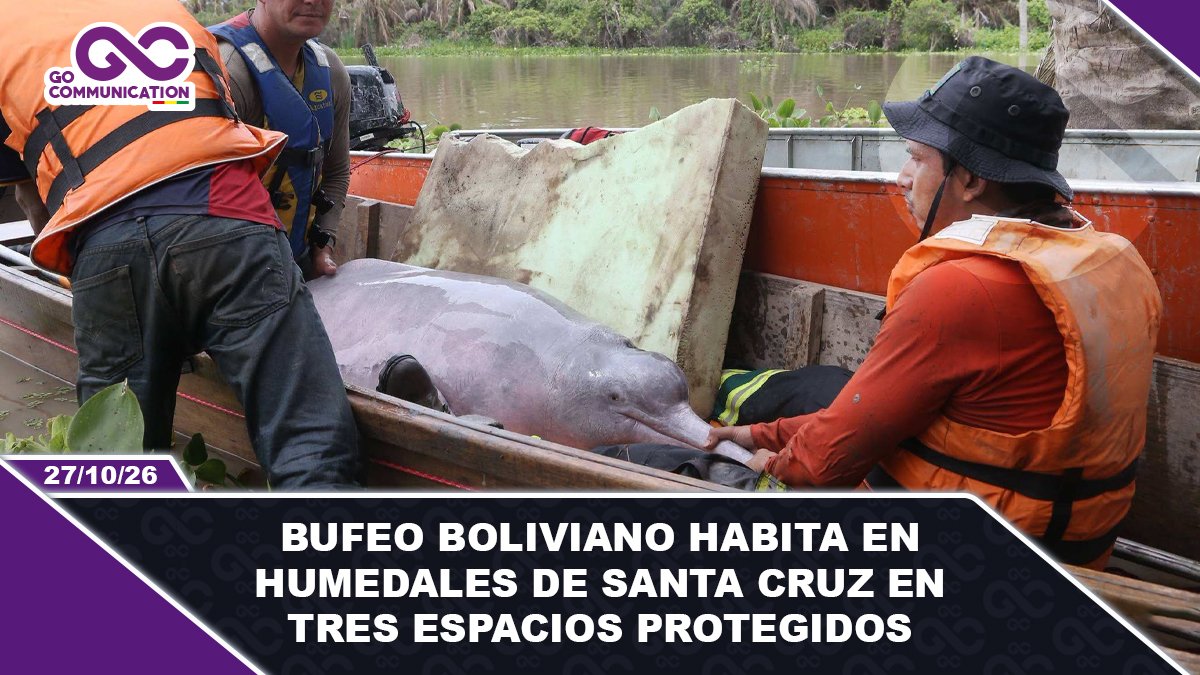 Bufeo boliviano habita en humedales de Santa Cruz en tres espacios protegidos