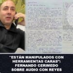 Están manipulados con herramientas caras Fernando Cerimedo sobre audio con Reyes