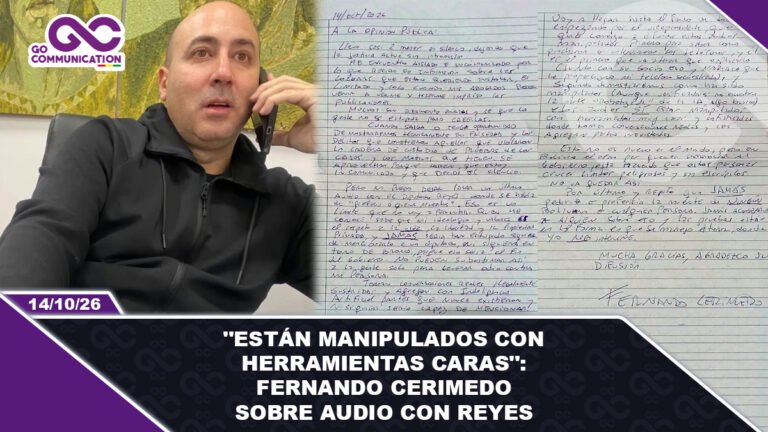 Están manipulados con herramientas caras Fernando Cerimedo sobre audio con Reyes