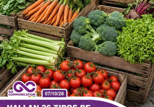 Hallan 26 tipos de plaguicidas prohibidos en verduras de consumo diario1