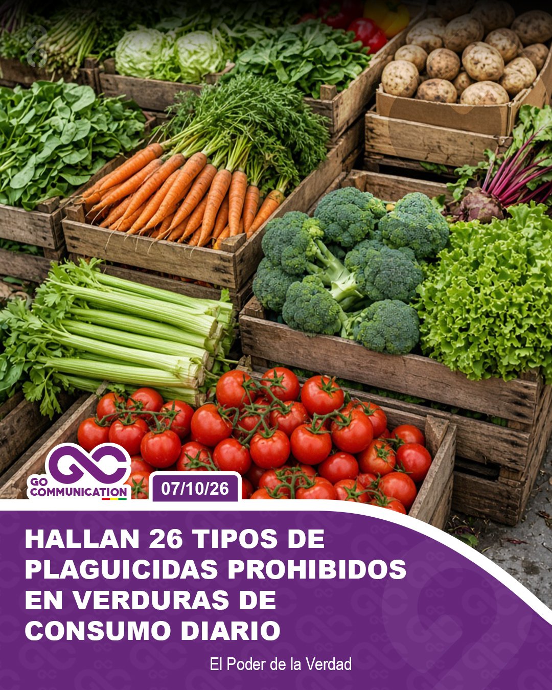 Hallan 26 tipos de plaguicidas prohibidos en verduras de consumo diario1