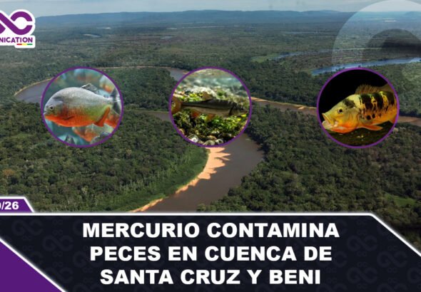Mercurio contamina peces en cuenca de Santa Cruz y Beni